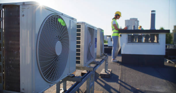 Best Air Duct Mold Removal  in Weaverville, NC